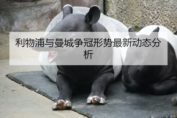利物浦与曼城争冠形势最新动态分析